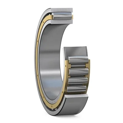 SKF Roulements Carb