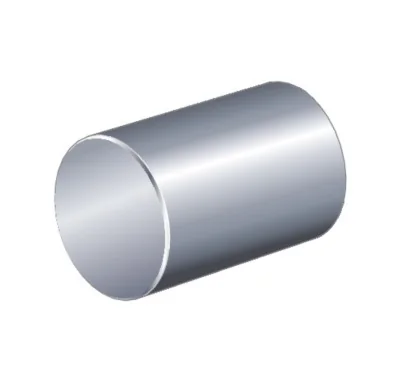 INA Rouleau cylindrique