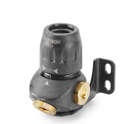 LEGRIS Prise Murale Ø 25 avec 3 Sorties Femelle 1/2'' BSP Cyl