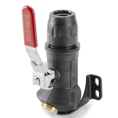 LEGRIS Prise Murale Ø 25 Robinet 1 Sortie 45° 1/2'' BSP Cyl