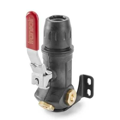 LEGRIS Prise Murale Ø 25 Robinet avec 3 Sorties 1/2'' BSP Cyl