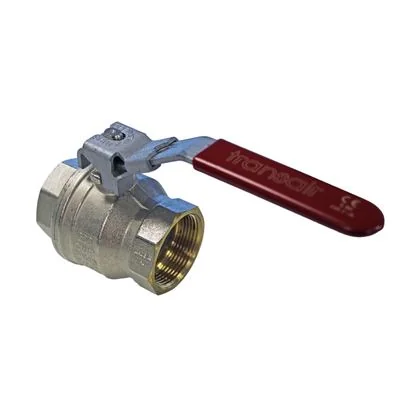 LEGRIS Robinet DN25 Double Femelle G1''