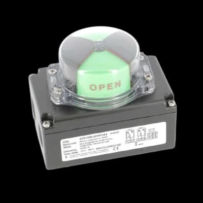 SECTORIEL BFC SF 3D IP67 2XSPDT-5A