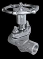 SPIRAX SARCO ROB A PISTON RP31 3/4" BSP
