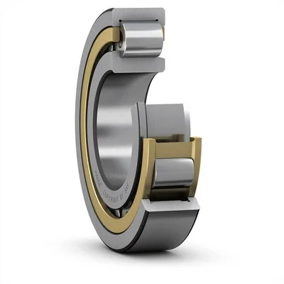 SKF Rlt à rlx. cyl. 100x215x73
