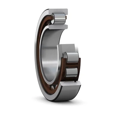 SKF Rlt à rlx. cyl. 110x200x53