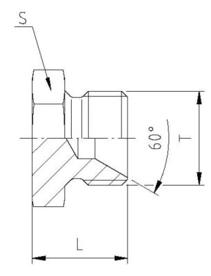 GATES HYDRAULIQUE BOUCHON MALE BSP 60° 2"