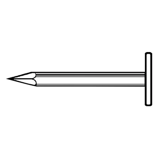 Extra-wide head nail galvanised 40 x 3.0 mm box 5 kg