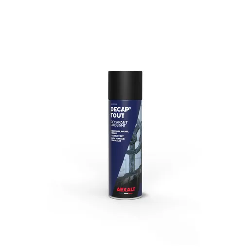 Decap'tout - powerful stripper - 650 ml