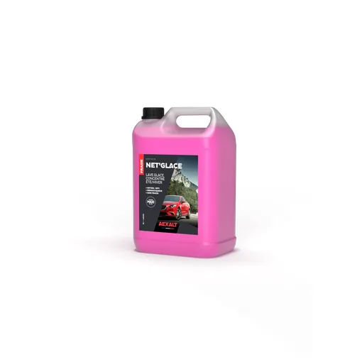 Net'glace - Scheibenwaschkonzentrat Sommer-Winter - 5 L