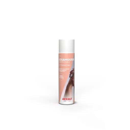 Aexamousse wasserfrei - Trockenreiniger - 210 ml