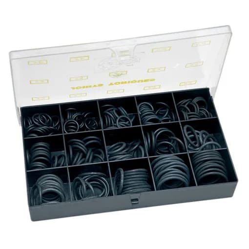 PM O-ring ACS (kit of 230)