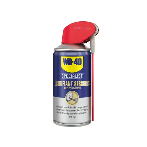 Schloss-Schmiermittel 250 ml netto (Pro-System)